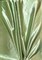 1 Yard Sage Bridal Satin Fabric 58/60 Inch Wide Smooth Shiny Cloth for Wedding Backdrops, Costumes & Drapery